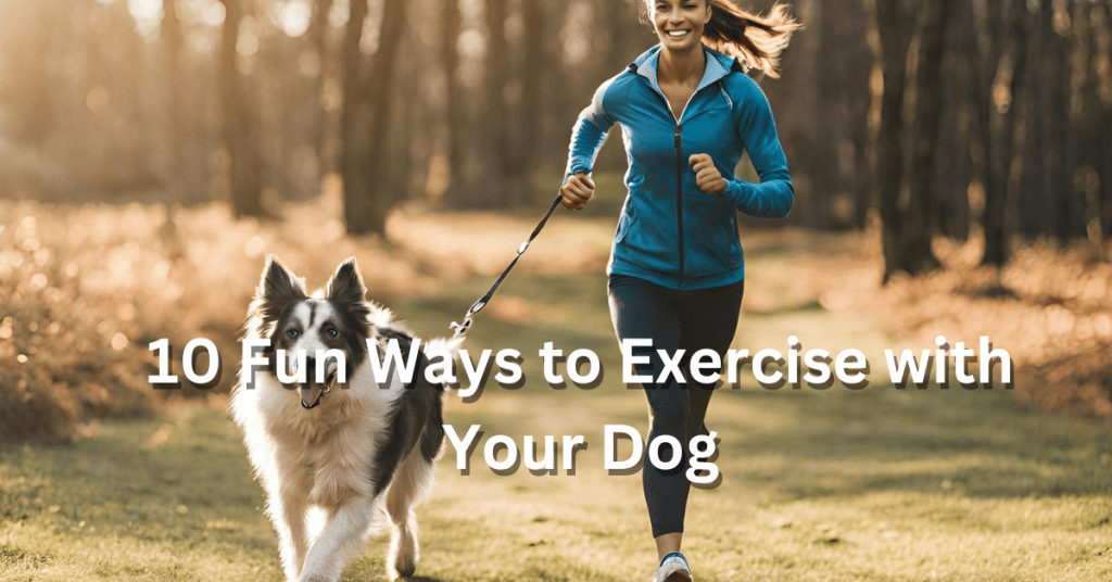 10 Fun Ways to Exercise with Your Dog - Pet Love Portal